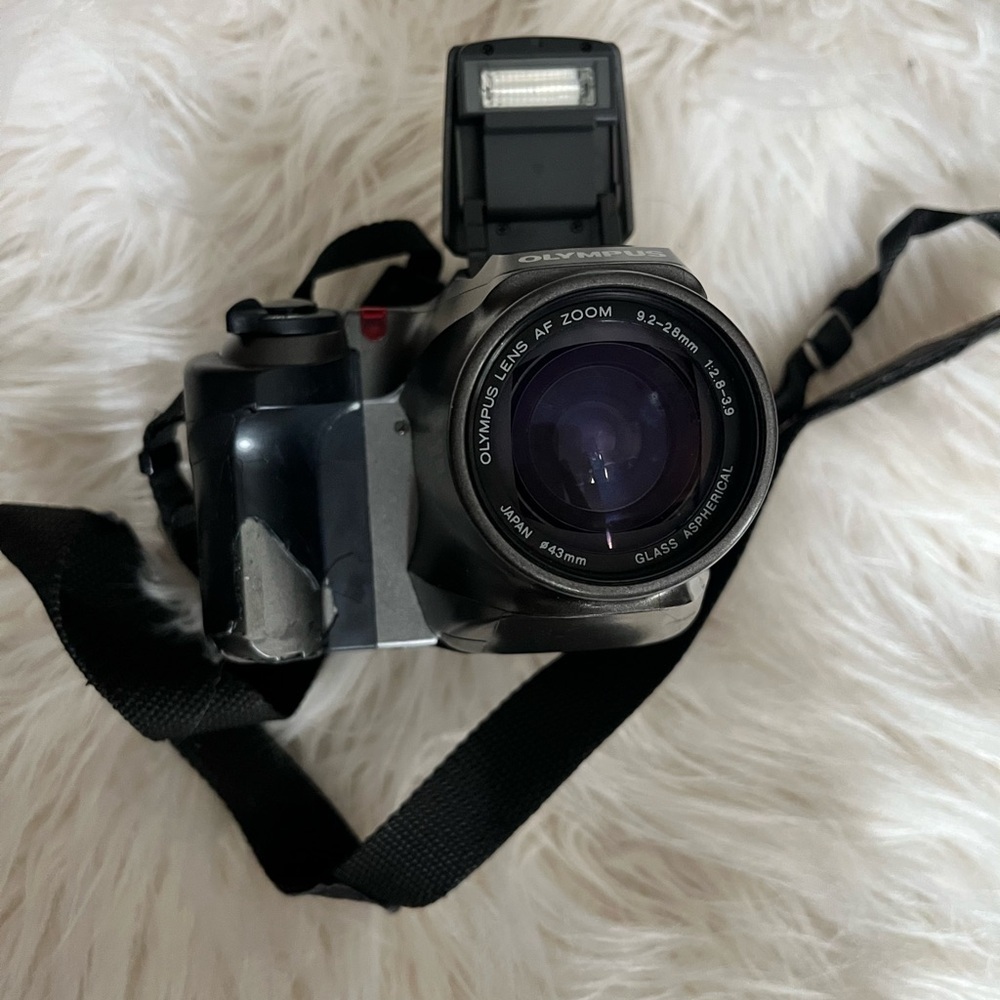 Olympus D-600 L with case